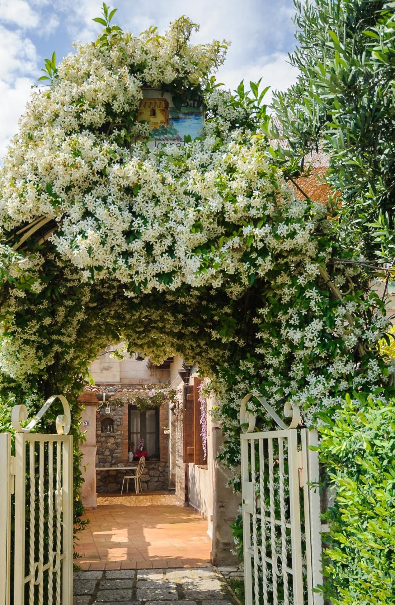B&B La Torretta Maratea Dış mekan fotoğraf
