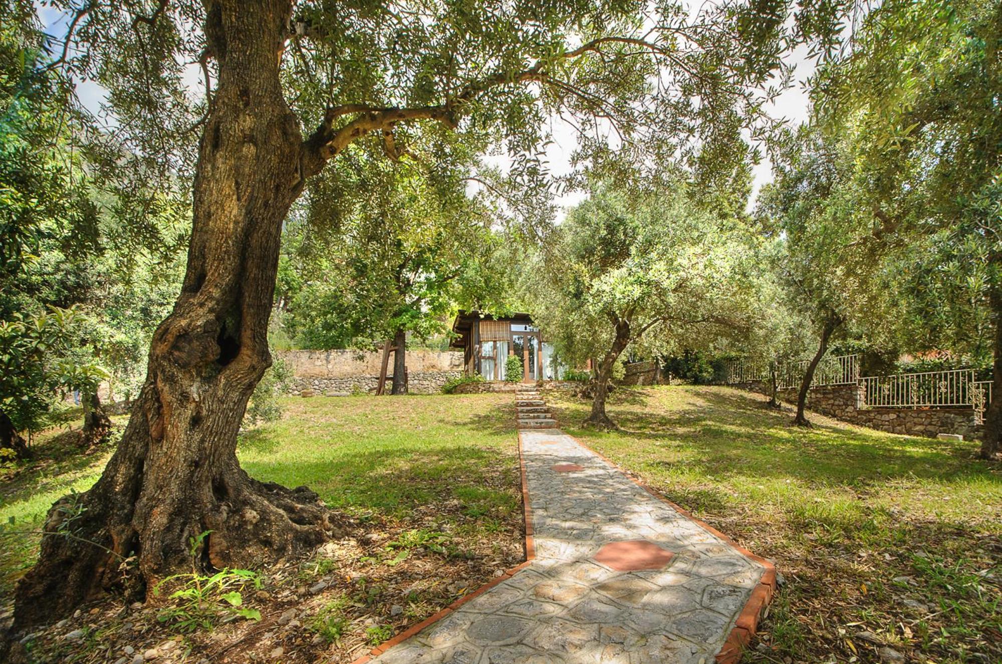 B&B La Torretta Maratea Dış mekan fotoğraf